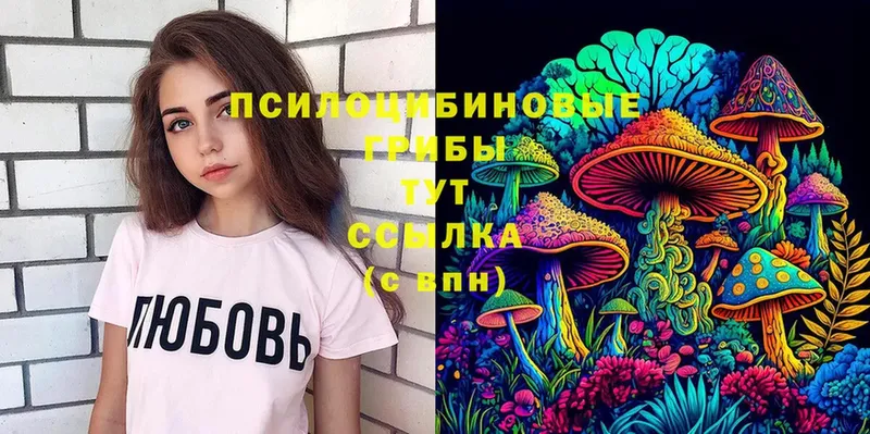 Галлюциногенные грибы Cubensis  что такое наркотик  omg сайт  Арамиль 